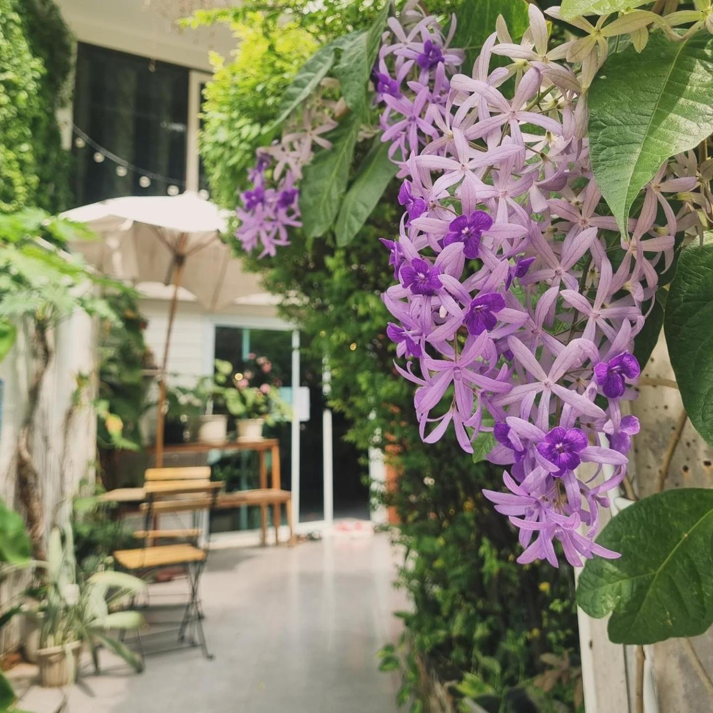 Home16 Sukhumvit16 Bangkok Exterior photo